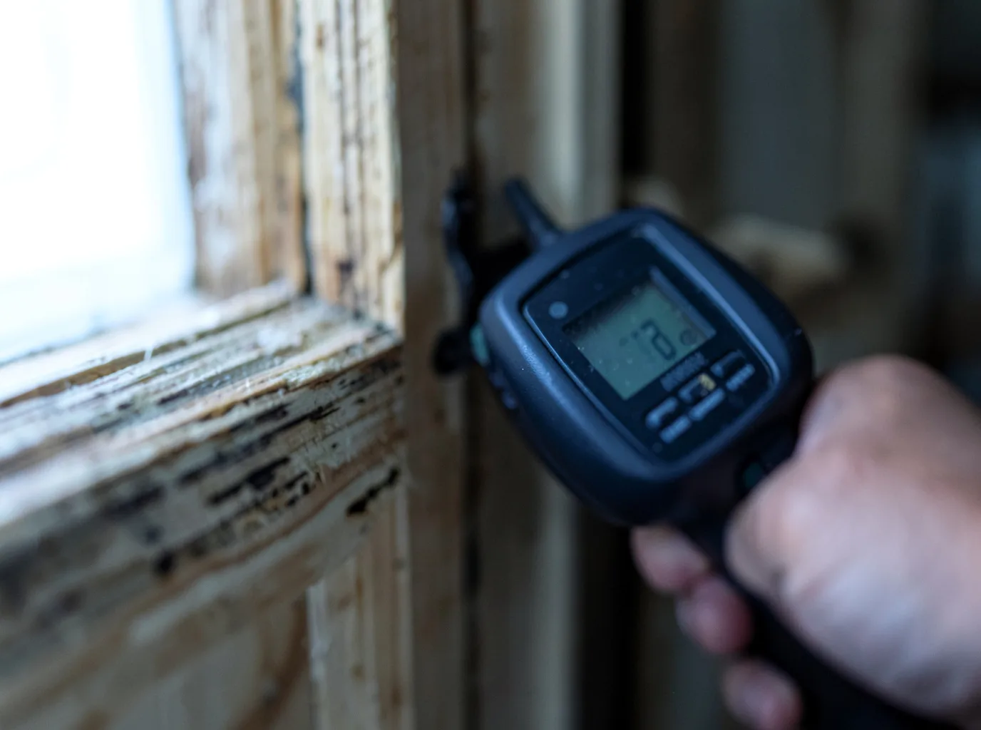 Water Damage Restoration Seattle, WA FAQs